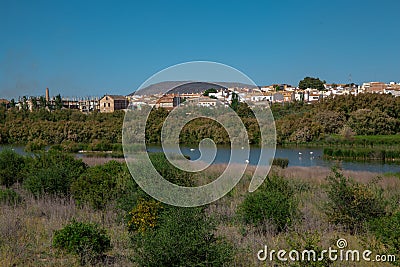 Lagoon. Stock Photo